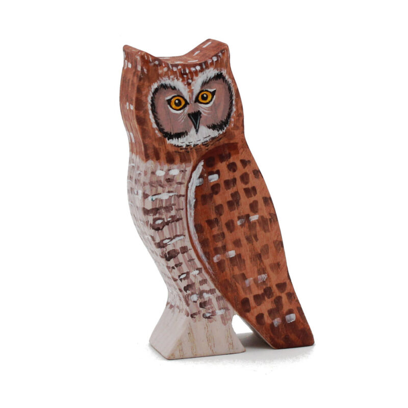 Cape eagle owl Toddler Bird